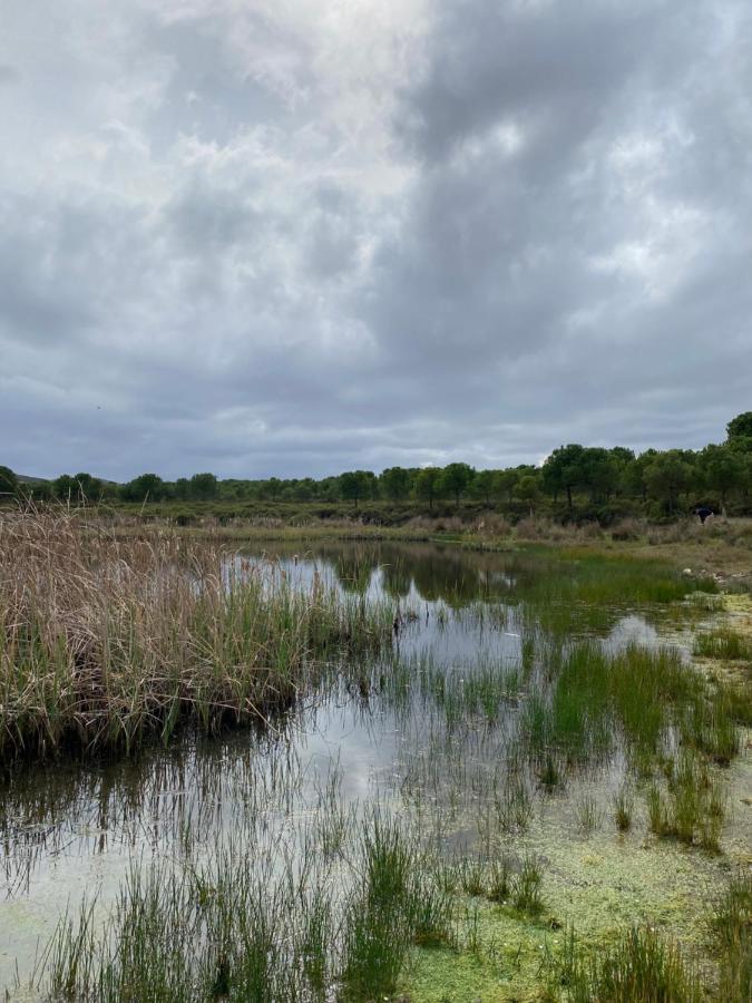 Herdade De Alagaes Mértola Exterior foto